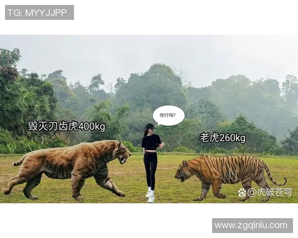 人类与老虎的生死对决探讨人与自然的和谐共生之道 人类与老虎的生死对决探讨人与自然的和谐共生之道