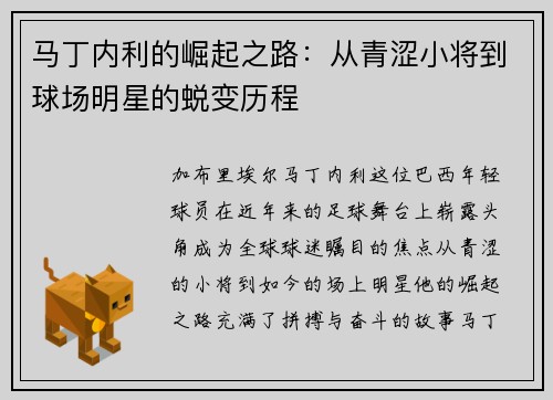 马丁内利的崛起之路：从青涩小将到球场明星的蜕变历程
