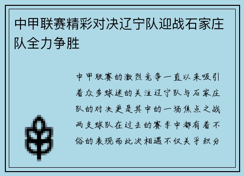 中甲联赛精彩对决辽宁队迎战石家庄队全力争胜