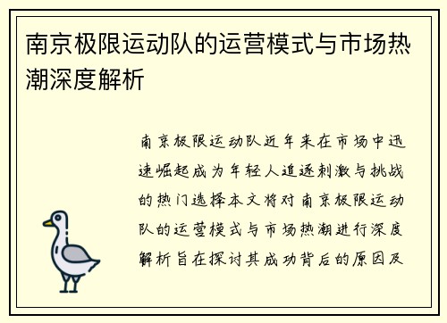 南京极限运动队的运营模式与市场热潮深度解析